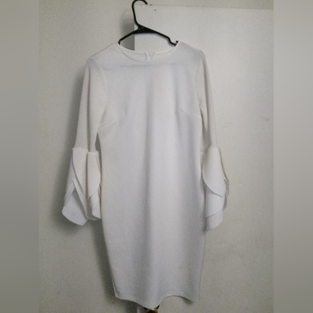 Petal sleeve dress